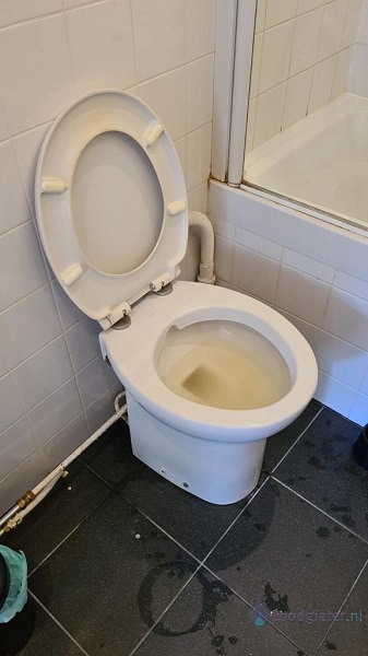  verstopping toilet Aalsmeer